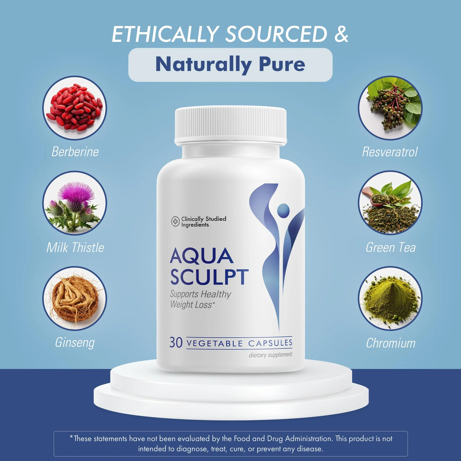Aqua Sculpt official website